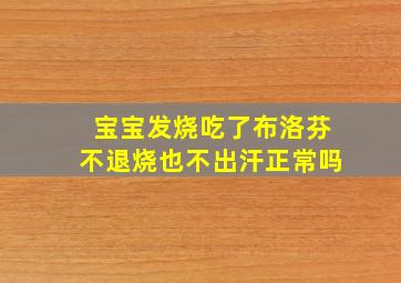 宝宝发烧吃了布洛芬不退烧也不出汗正常吗