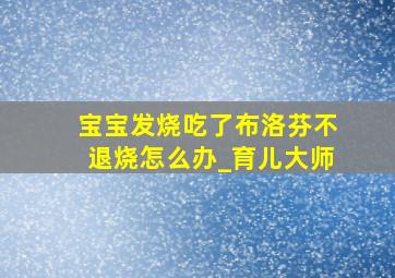 宝宝发烧吃了布洛芬不退烧怎么办_育儿大师