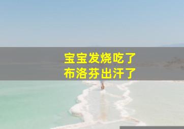 宝宝发烧吃了布洛芬出汗了