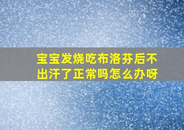 宝宝发烧吃布洛芬后不出汗了正常吗怎么办呀