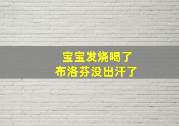 宝宝发烧喝了布洛芬没出汗了