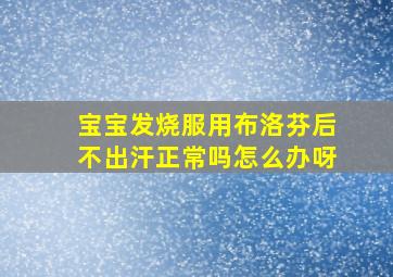 宝宝发烧服用布洛芬后不出汗正常吗怎么办呀