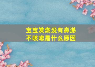 宝宝发烧没有鼻涕不咳嗽是什么原因