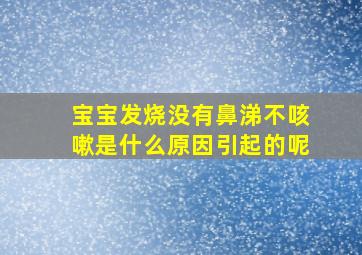 宝宝发烧没有鼻涕不咳嗽是什么原因引起的呢