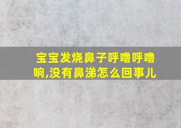 宝宝发烧鼻子呼噜呼噜响,没有鼻涕怎么回事儿