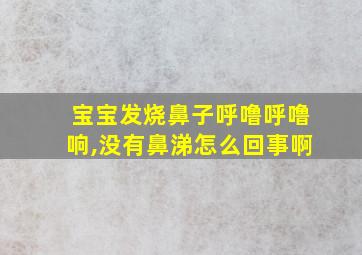 宝宝发烧鼻子呼噜呼噜响,没有鼻涕怎么回事啊