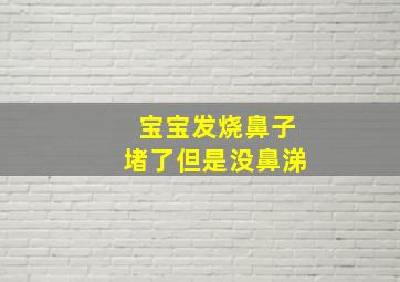 宝宝发烧鼻子堵了但是没鼻涕