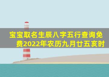 宝宝取名生辰八字五行查询免费2022年农历九月廿五亥时