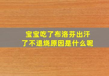 宝宝吃了布洛芬出汗了不退烧原因是什么呢