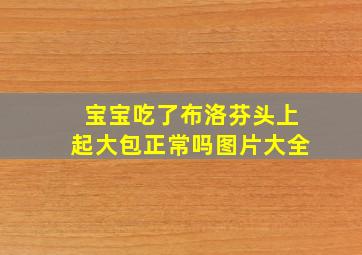 宝宝吃了布洛芬头上起大包正常吗图片大全