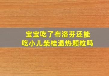 宝宝吃了布洛芬还能吃小儿柴桂退热颗粒吗