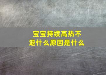 宝宝持续高热不退什么原因是什么