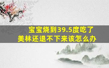 宝宝烧到39.5度吃了美林还退不下来该怎么办