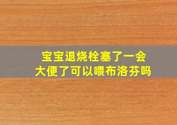 宝宝退烧栓塞了一会大便了可以喂布洛芬吗