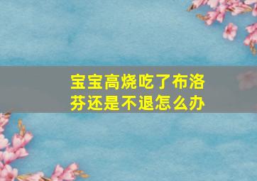 宝宝高烧吃了布洛芬还是不退怎么办