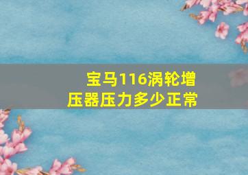 宝马116涡轮增压器压力多少正常