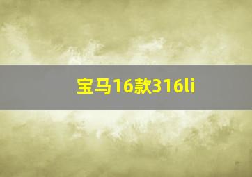 宝马16款316li