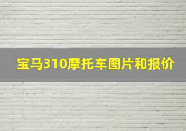 宝马310摩托车图片和报价