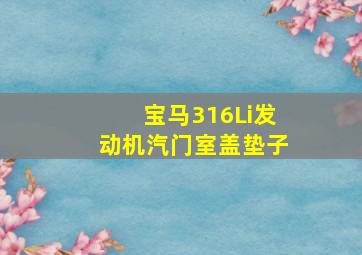 宝马316Li发动机汽门室盖垫子