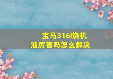 宝马316i烧机油厉害吗怎么解决