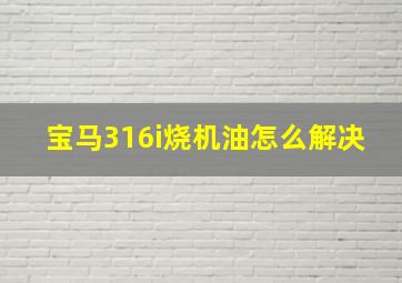 宝马316i烧机油怎么解决