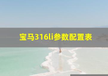 宝马316li参数配置表