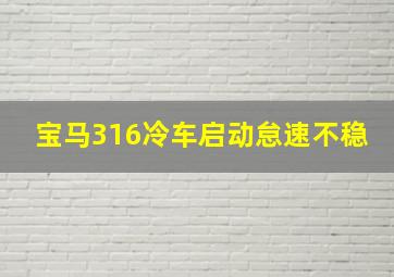 宝马316冷车启动怠速不稳