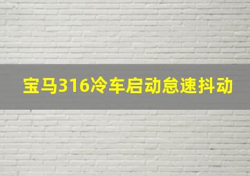 宝马316冷车启动怠速抖动