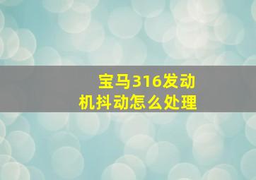 宝马316发动机抖动怎么处理