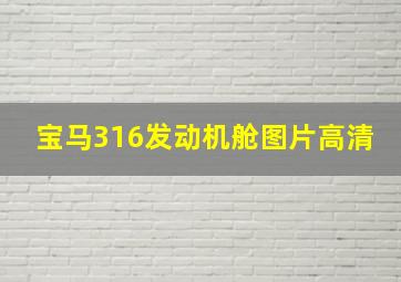 宝马316发动机舱图片高清