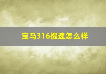 宝马316提速怎么样