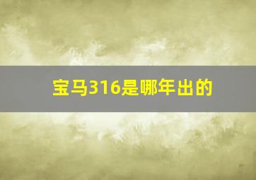 宝马316是哪年出的