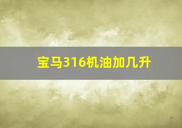 宝马316机油加几升