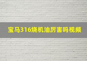 宝马316烧机油厉害吗视频