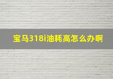 宝马318i油耗高怎么办啊