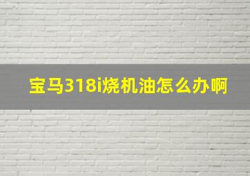 宝马318i烧机油怎么办啊