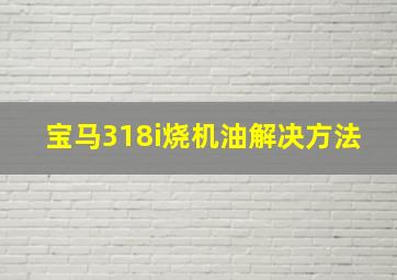 宝马318i烧机油解决方法