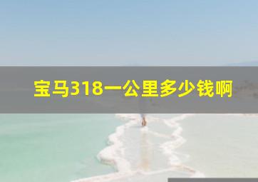 宝马318一公里多少钱啊