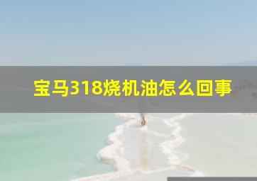 宝马318烧机油怎么回事