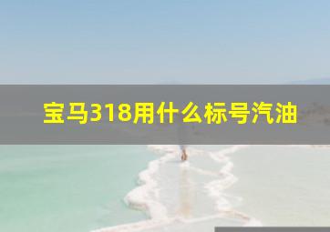 宝马318用什么标号汽油