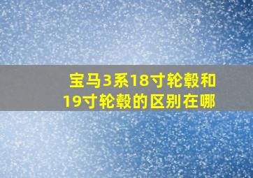 宝马3系18寸轮毂和19寸轮毂的区别在哪