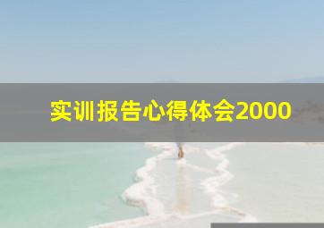 实训报告心得体会2000