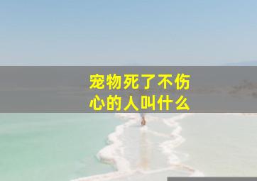 宠物死了不伤心的人叫什么