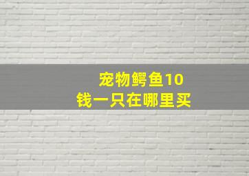 宠物鳄鱼10钱一只在哪里买