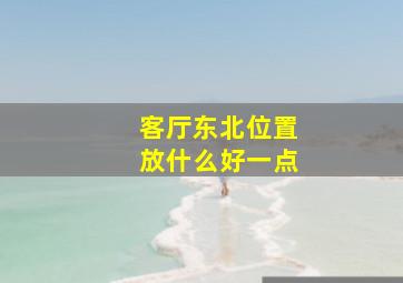 客厅东北位置放什么好一点