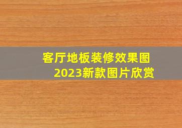 客厅地板装修效果图2023新款图片欣赏