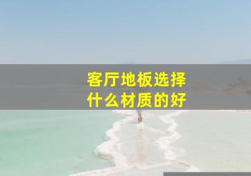 客厅地板选择什么材质的好