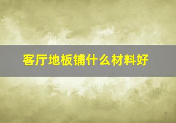 客厅地板铺什么材料好