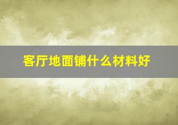 客厅地面铺什么材料好