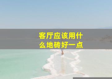 客厅应该用什么地砖好一点